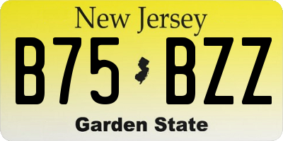 NJ license plate B75BZZ