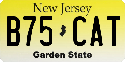 NJ license plate B75CAT