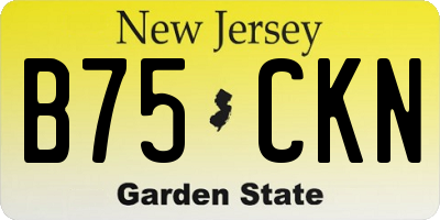 NJ license plate B75CKN