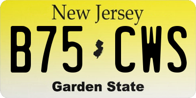 NJ license plate B75CWS