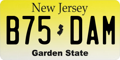 NJ license plate B75DAM