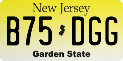 NJ license plate B75DGG