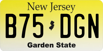 NJ license plate B75DGN
