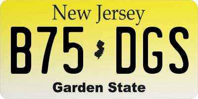NJ license plate B75DGS
