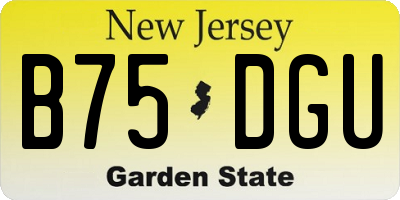 NJ license plate B75DGU