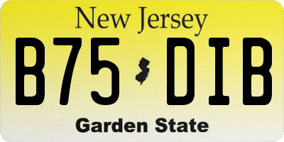 NJ license plate B75DIB