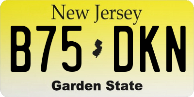 NJ license plate B75DKN