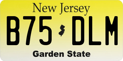 NJ license plate B75DLM