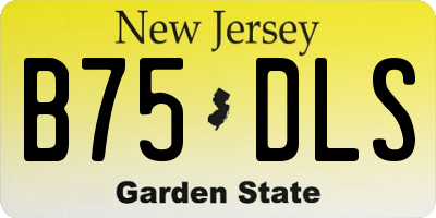NJ license plate B75DLS