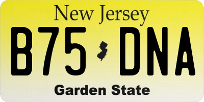 NJ license plate B75DNA