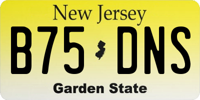 NJ license plate B75DNS