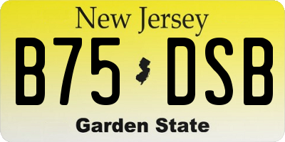 NJ license plate B75DSB