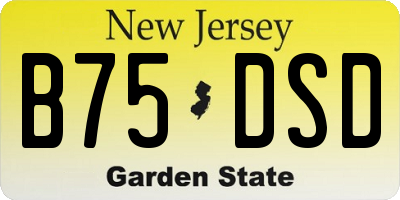 NJ license plate B75DSD