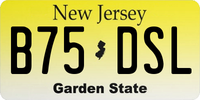 NJ license plate B75DSL