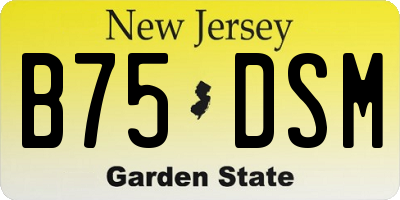 NJ license plate B75DSM