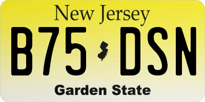 NJ license plate B75DSN