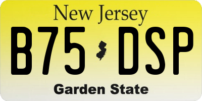 NJ license plate B75DSP