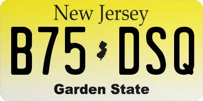 NJ license plate B75DSQ