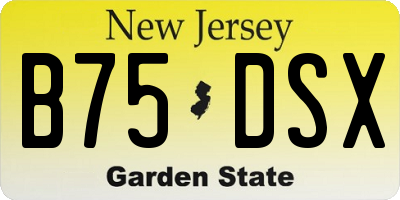 NJ license plate B75DSX