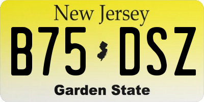 NJ license plate B75DSZ