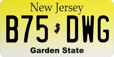 NJ license plate B75DWG