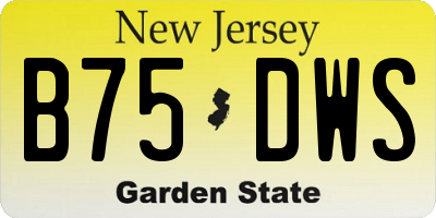 NJ license plate B75DWS