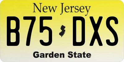 NJ license plate B75DXS