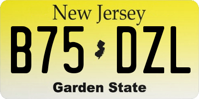 NJ license plate B75DZL