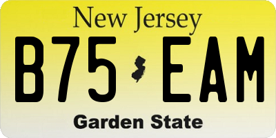 NJ license plate B75EAM