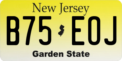 NJ license plate B75EOJ