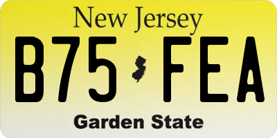NJ license plate B75FEA