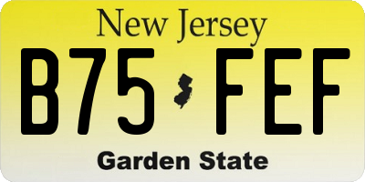 NJ license plate B75FEF