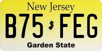 NJ license plate B75FEG