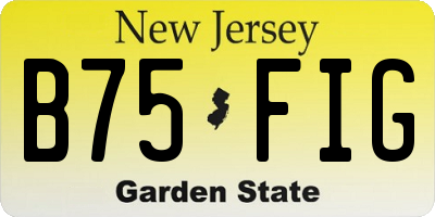 NJ license plate B75FIG