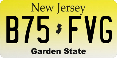 NJ license plate B75FVG