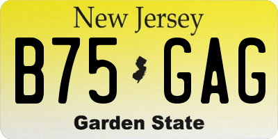 NJ license plate B75GAG