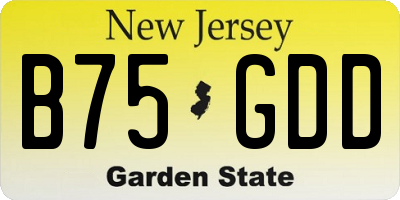 NJ license plate B75GDD