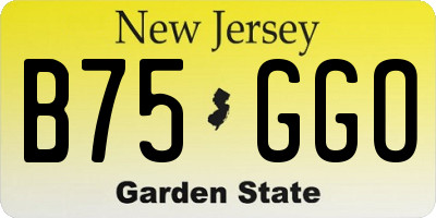 NJ license plate B75GGO