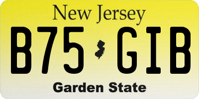 NJ license plate B75GIB