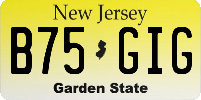 NJ license plate B75GIG
