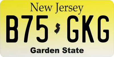NJ license plate B75GKG