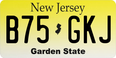 NJ license plate B75GKJ
