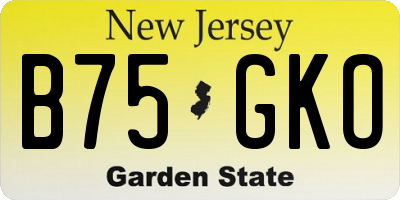 NJ license plate B75GKO