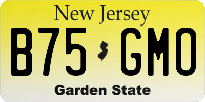 NJ license plate B75GMO