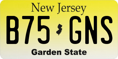 NJ license plate B75GNS