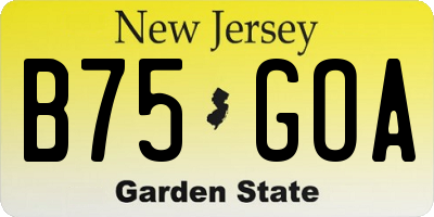 NJ license plate B75GOA
