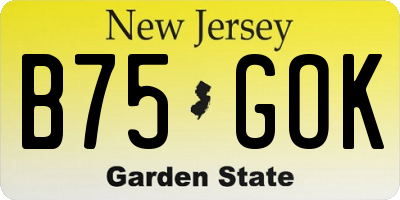 NJ license plate B75GOK
