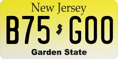 NJ license plate B75GOO