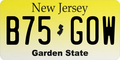 NJ license plate B75GOW