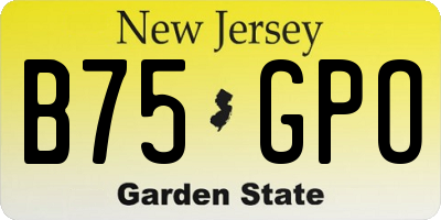 NJ license plate B75GPO